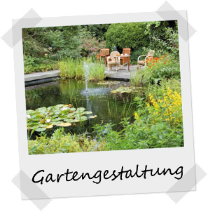 Polaroid: Gartengestaltung